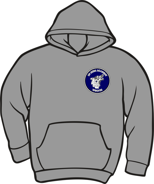 BP STEM Sports Grey Hoodies with Patch