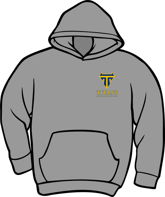 ATP Grey Hoodie